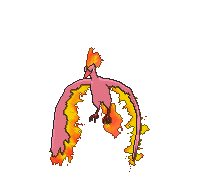 _6XY_146____.gif