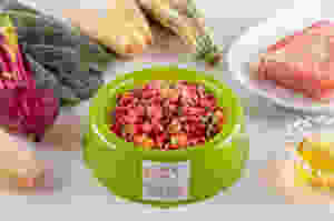 alimentos cachorro
