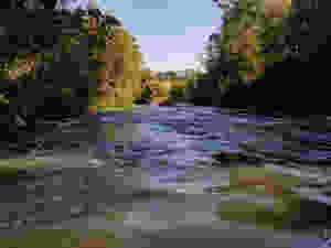 paisagem rio arvores