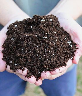 soil_edited.jpg