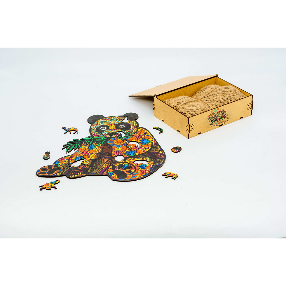 Všechny dřevěné tvary puzzle „Panda Kung-Fu“ A3 rozložené vedle baleni