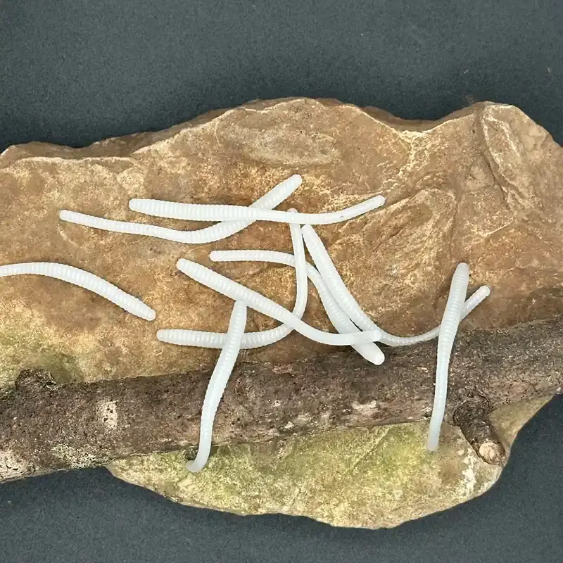 Thumbnail: shows several white-colored soft plastic  trout worms sitting on a rock