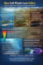 Best soft plastic lure colors decision chart showing how water clarity, depth, contrast, and light conditions affect color selection