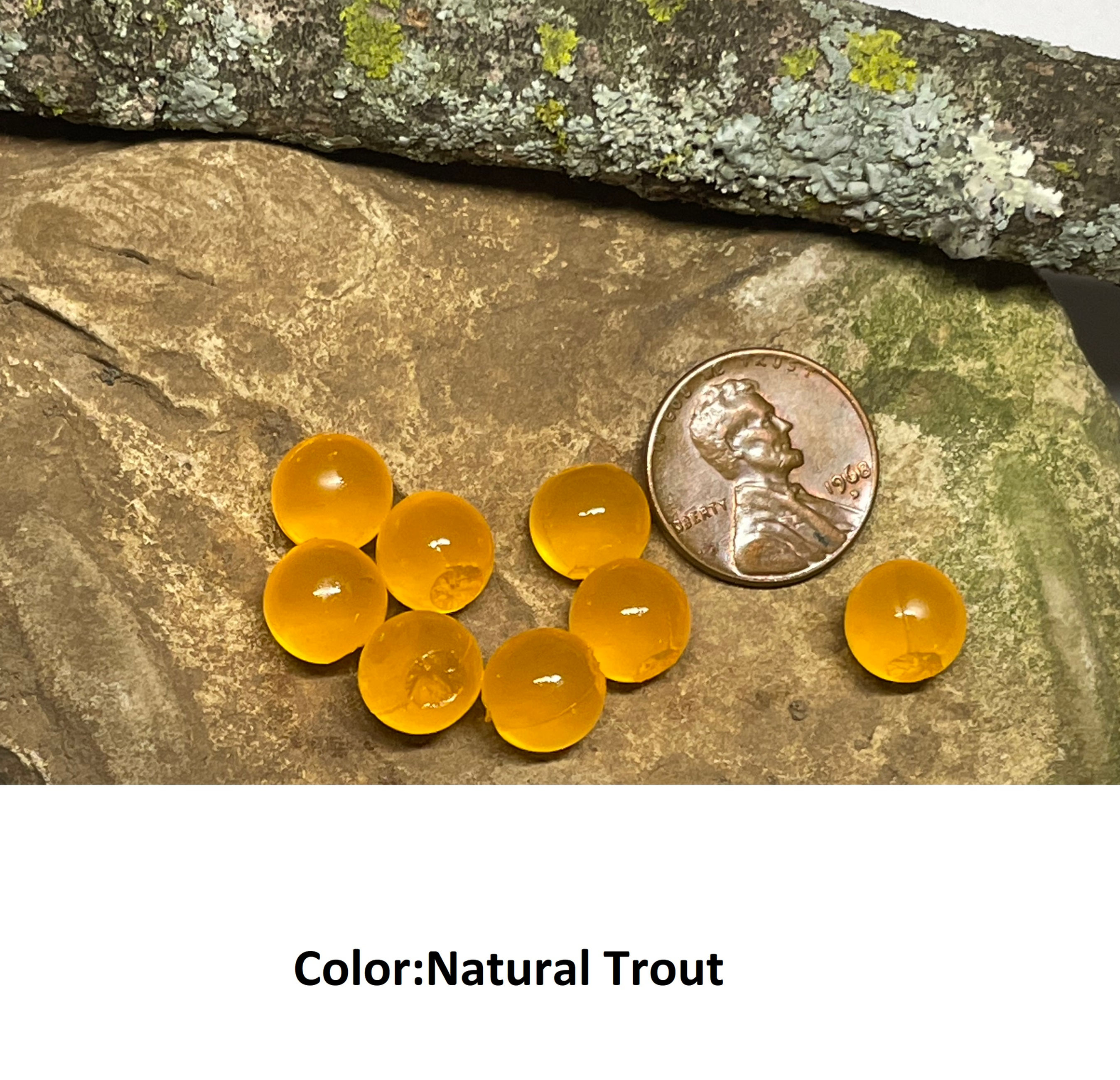 show 8 artificial salmon eggs natural color sitting on a rock with a stick and penny for scale
