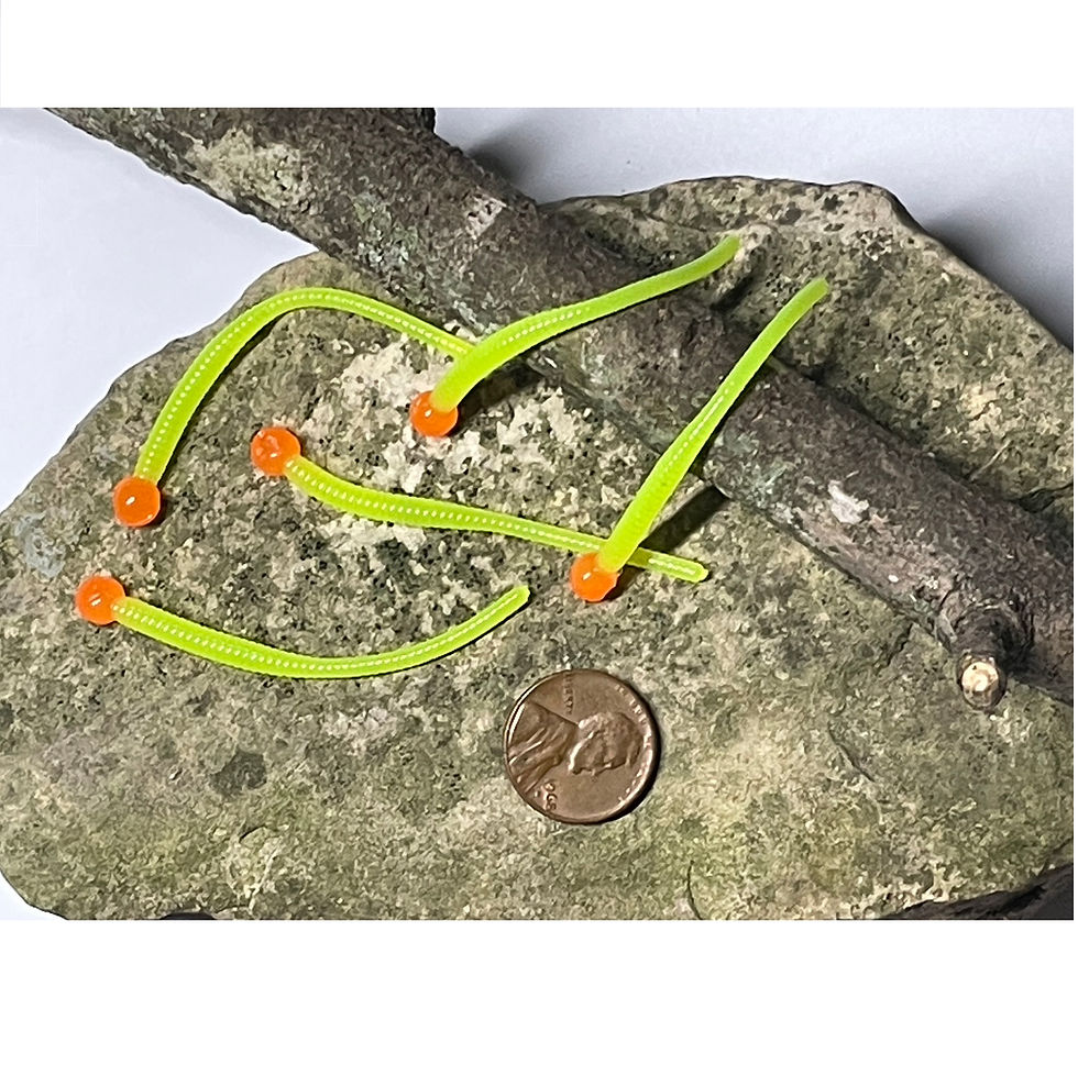 Show several mouse tails with an orange head and a chartreuse tail sitting on a rock