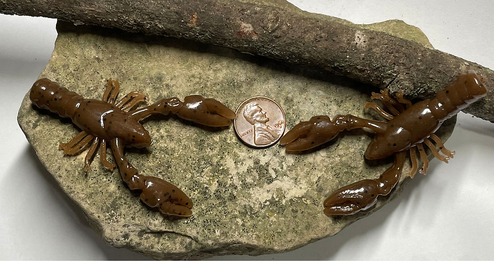 two chocolate soft plastic crawfish sitting on a rock