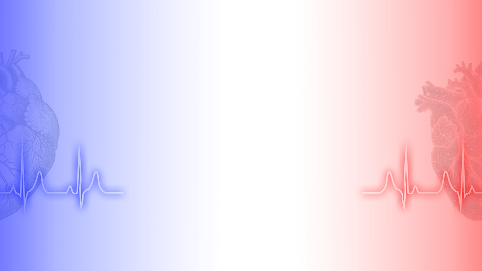 PARTNERS BG.png