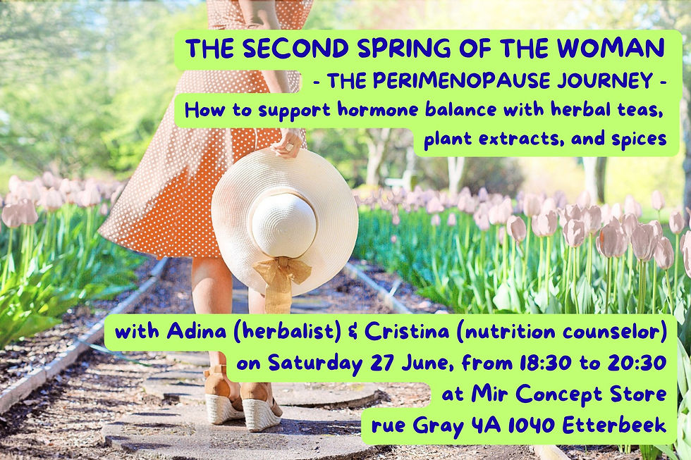The perimenopause journey