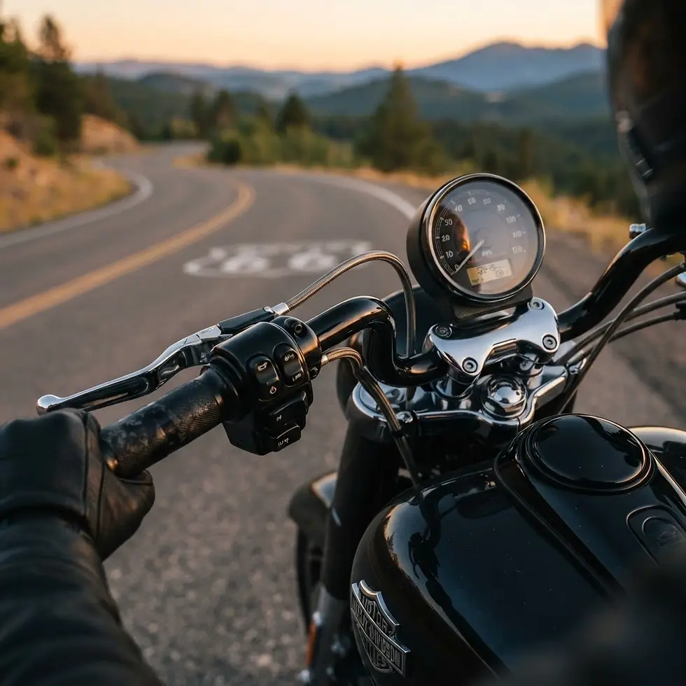 Harley Davidson control details