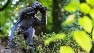 A statue looking into goggles