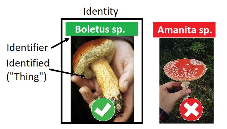 Identities are a special category of “sign,” made up of the thing in question (“the identified”) and the name or reference that addresses it (“the identifier”).