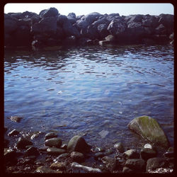 Sea