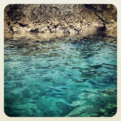 Sea