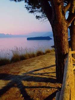 Isola di Dino