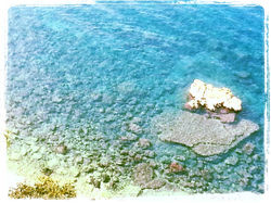 Sea