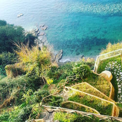 Sea