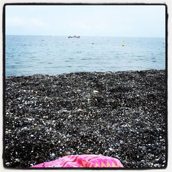 Sea