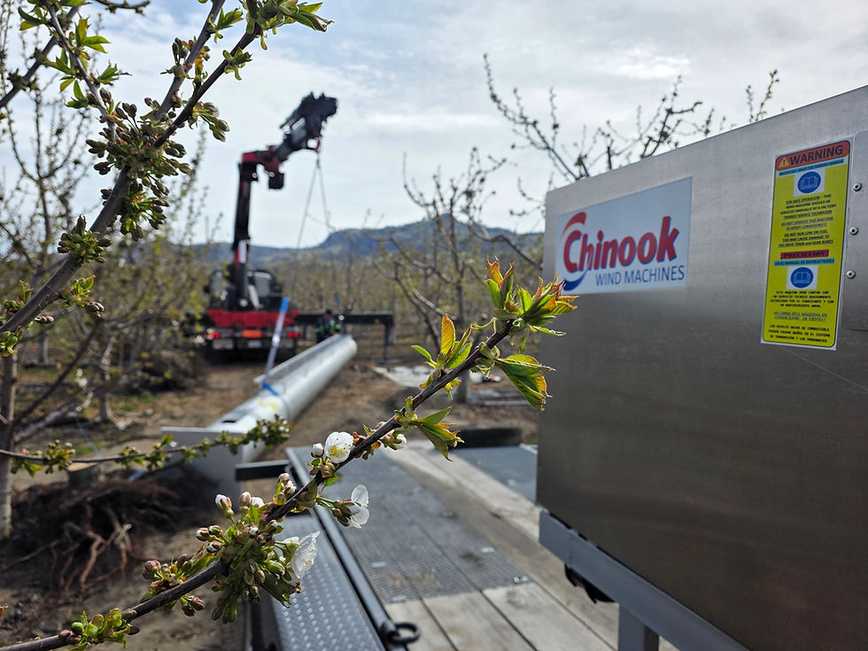 Chinook Wind Machine For Sale