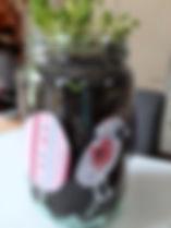 20210328_124057.jpg