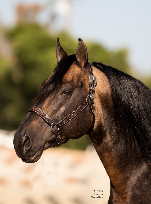 Screen Shot 2022-09-17 at 10.24.29 AM.png