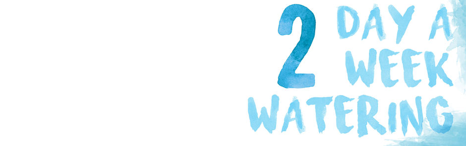 Winter Watering Schedule