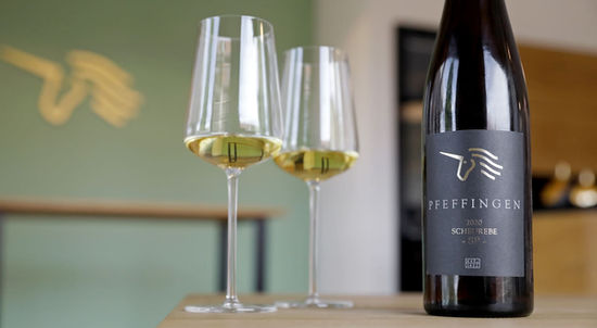 Wine tasting Pfeffingen winery