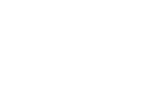 RQI Immobilien AG Logo