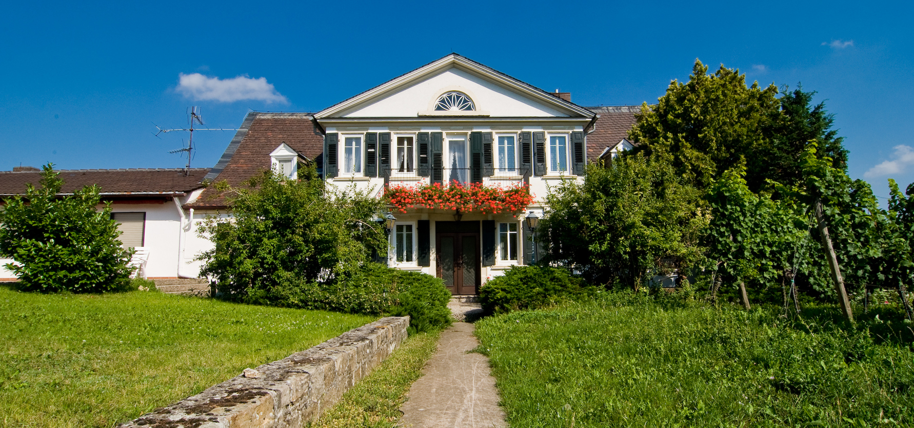 Weingut | weingutpfeffingen