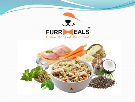 Best Dog Food in india : Read Reviews, Compare Prices