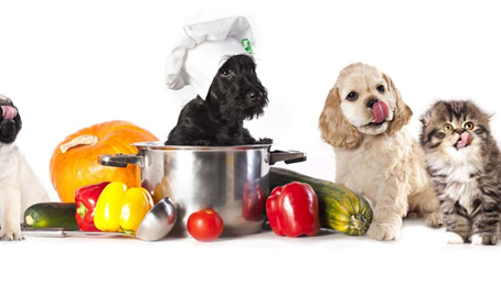 Healthy Power Foods for yours Dog