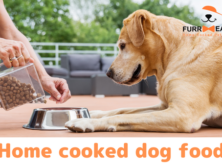 FurrMeals - Home Cooked Pet Food Delivery Service