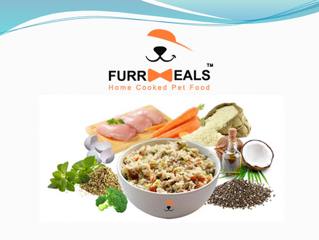 A Definitive Guide For How To Choose The Best Food For Your Dog