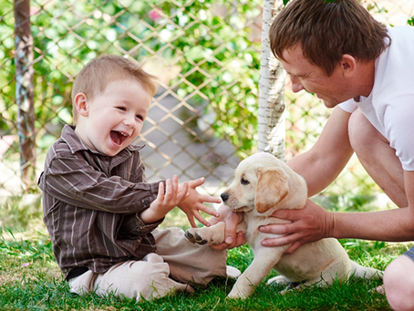 Your Guide to Becoming a Successful New Puppy Parent