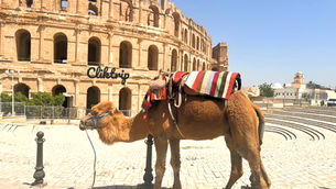 A Tunísia é um destino surpreendente que combina belezas naturais, rica história e diversidade cultural. Com uma costa marítima moldada por praias de areia branquinha, onde  a brisa do Mediterrâneo sopra e espalha a fragância do jasmim, é um destino ideal para férias .    Da cosmopolita capital Túnis aos oásis no deserto do Saara, as ruínas romanas de Cartago às aldeias berberes nas montanhas, o país é um mosaico de experiências.