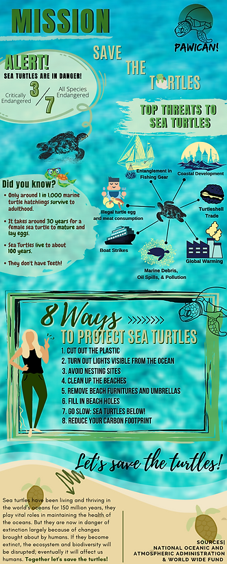 Marine Conservation Sea Turtle Infograph
