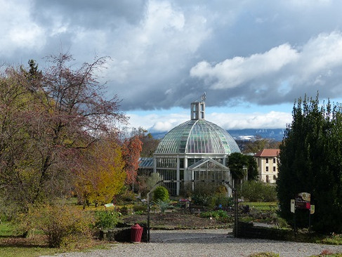 Botanischer Garten
