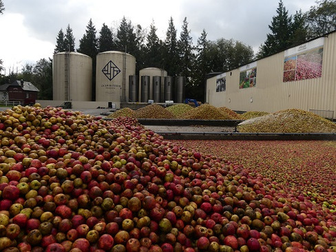 Vom Apfel bis zum Calvados-Fass