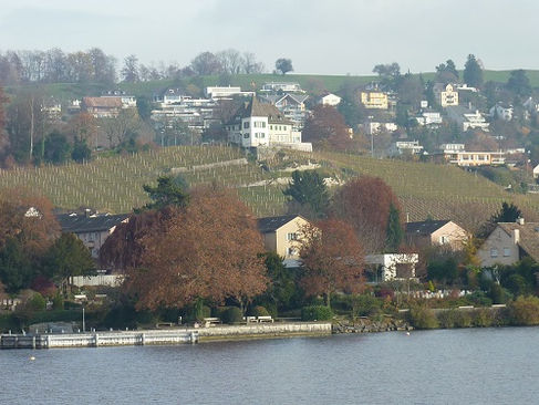 Villen am Zürichsee