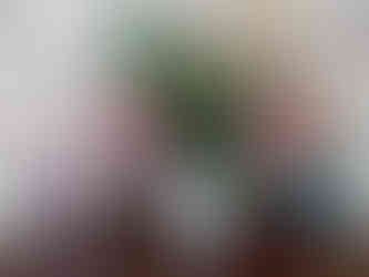 Preisgekrönte Weine