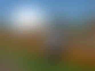 Ivona Pjevac von der Umweltbewegung Supernatural