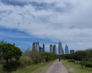 Blick vom Naturreservat auf die Stadt
