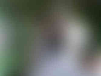 Restaurant im ehemaligen Kloster