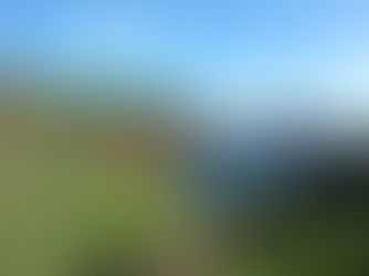 Die Insel der Blumen 