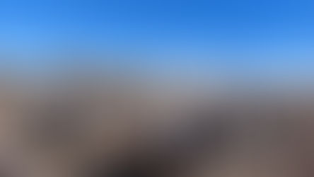 Vorführung des Puszta-Zehners im Gestüt von Bakodpuszta