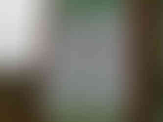 Propaganda statt Wiederaufforstung im Nationalpark