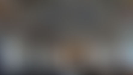 Die Aula Leopoldina der Universität Breslau