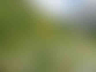 Auf dem Alpkäse-Trail