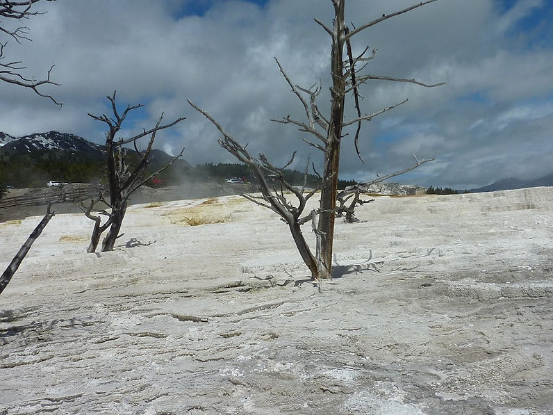 Mammoth Hot Springs