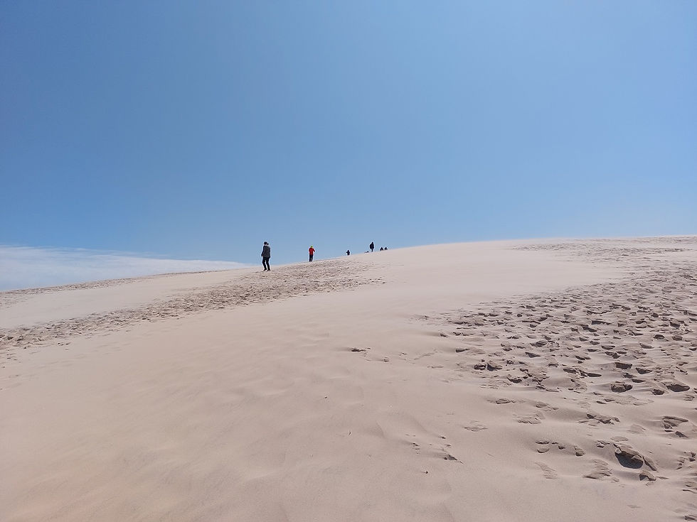 Auf der größten Wanderdüne Europas Rabjerg Mile