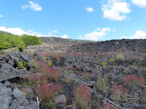 Lavafeld am Rifugio Citelli